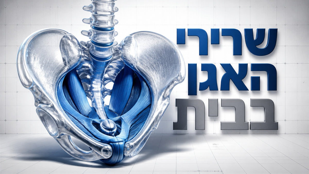 חיזוק שרירי האגן בבית – מדריך מקצועי לגברים ללא צורך בקליניקה