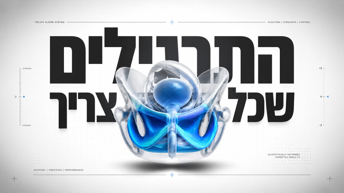 תרגילים לרצפת האגן לגברים מעל 45: המדריך המלא לחיזוק ושליטה