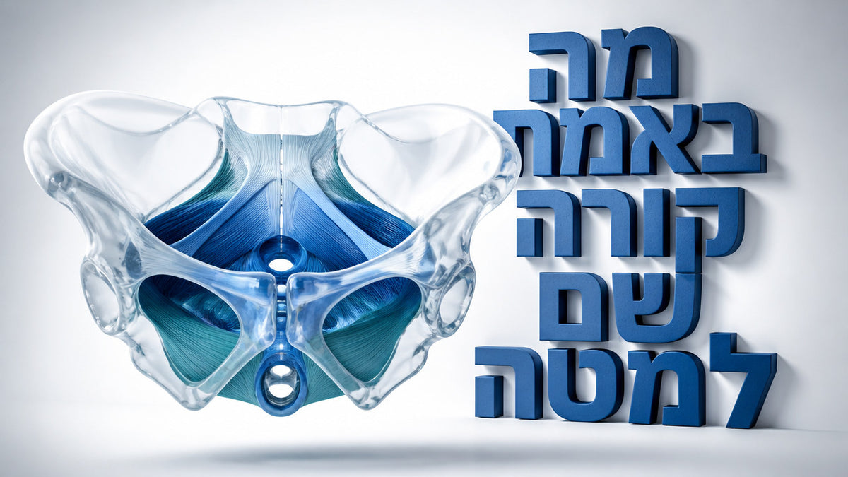 מה זה רצפת אגן אצל גברים ולמה זה חשוב: המדריך המלא