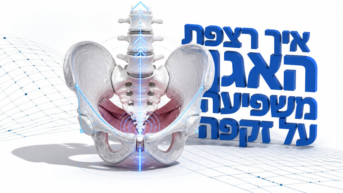 האם חיזוק רצפת האגן יכול לעזור עם זקפה חלשה: המדריך המלא