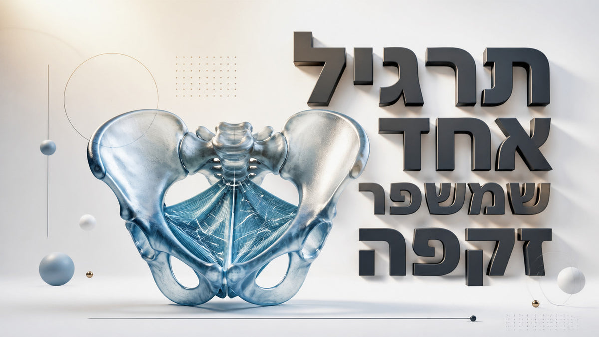 האם חיזוק רצפת האגן משפר זקפה אצל גברים? המדריך המלא