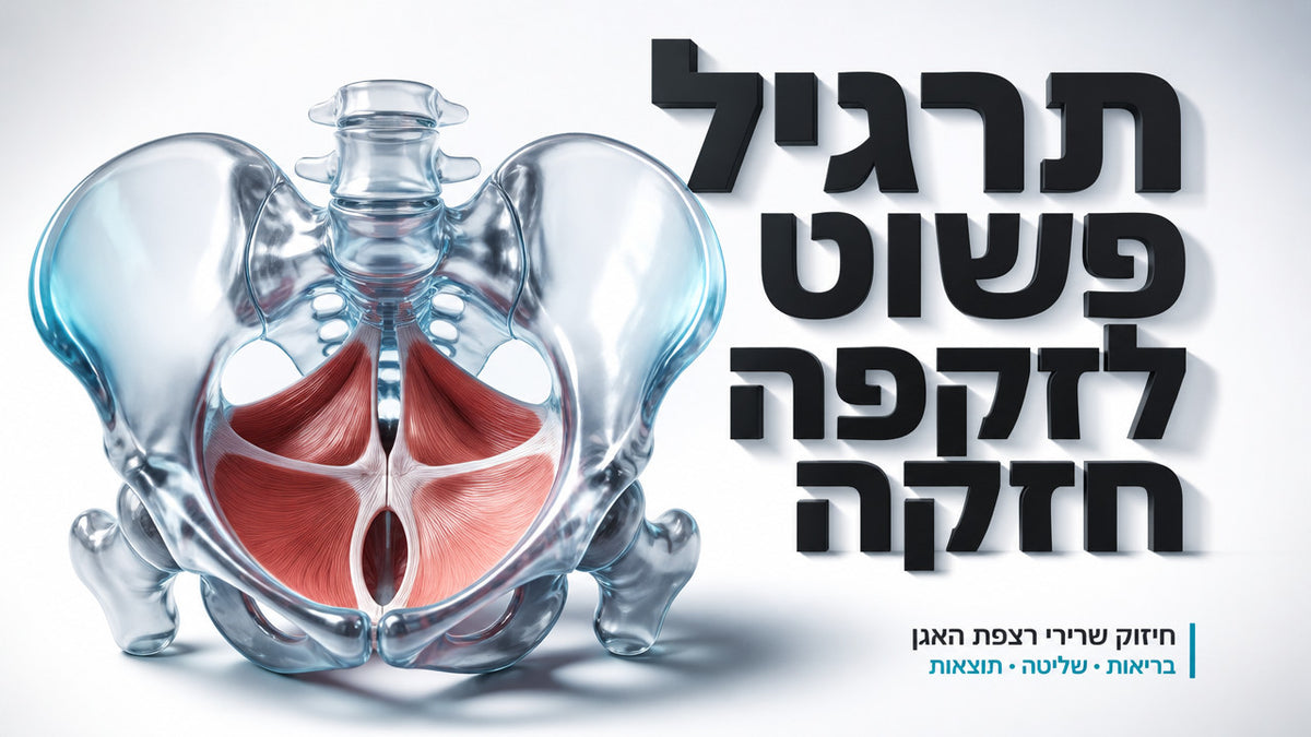 איך תרגילי רצפת האגן עוזרים לשיפור זקפה אצל גברים: המדריך המלא