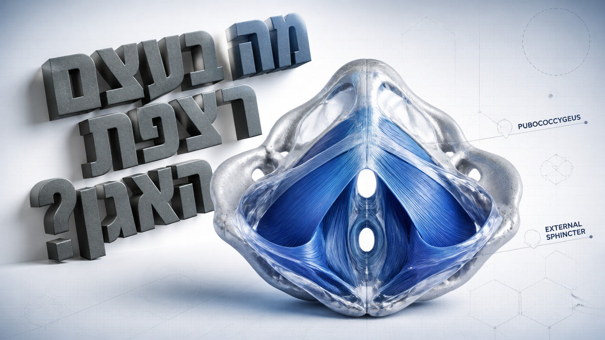 חיזוק רצפת האגן לגברים: מה זה ואיך זה משפר תפקוד מיני