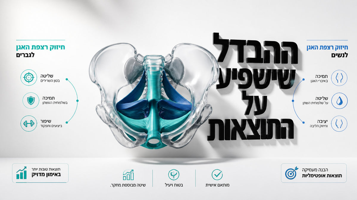 מה ההבדל בין אימון רצפת אגן לגברים לעומת נשים? המדריך המלא