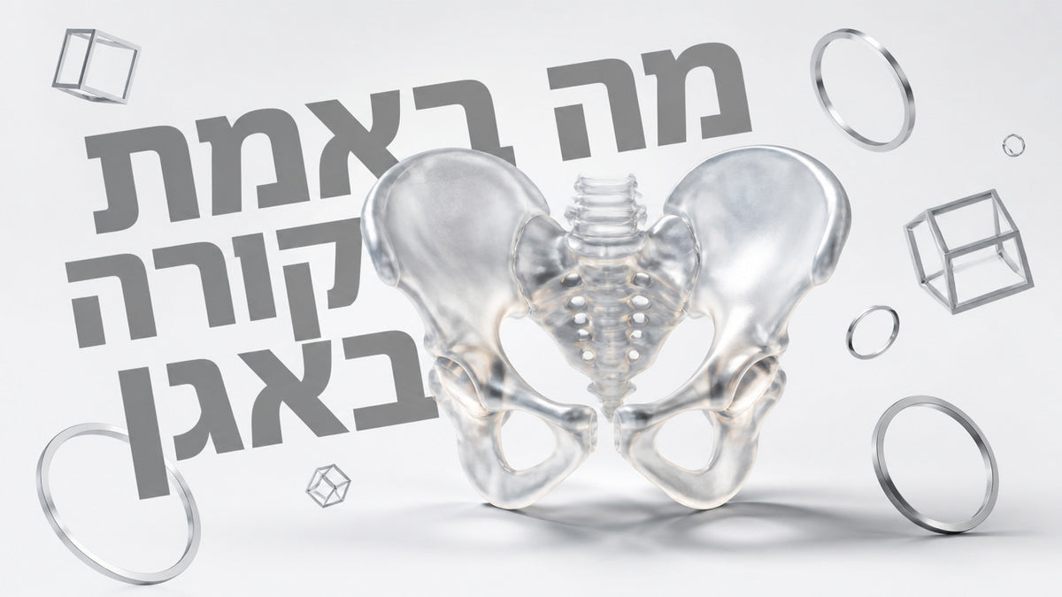מה זה אגן ומדוע תפקודו קובע את בריאות הגבר האינטימית