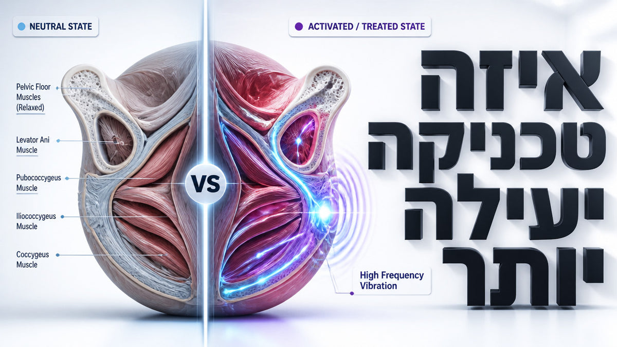 מה ההבדל בין EMS לרטט גבוה תדר בטיפול בשרירי האגן? המדריך המלא
