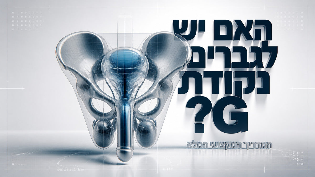 נקודת G אצל גברים: המדריך המקצועי המלא לשנת 2026