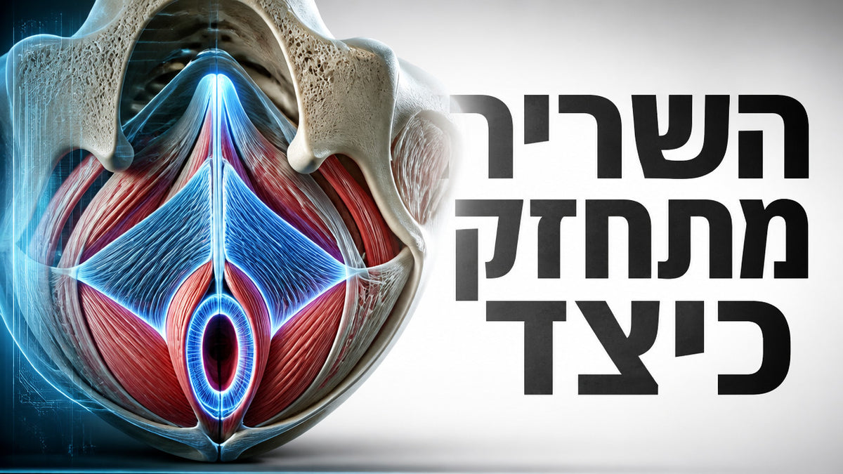 איך גבר יודע שהוא מכווץ את רצפת האגן בצורה נכונה? המדריך המלא