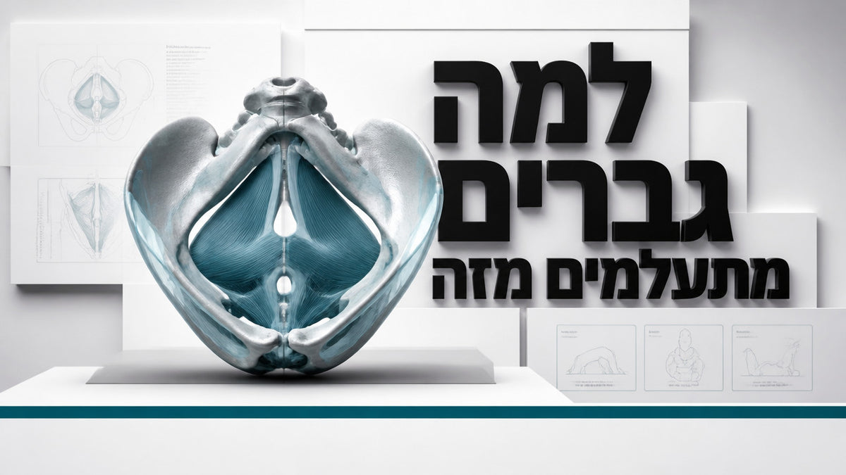 אדמה אגן: המדריך המקצועי לחיזוק רצפת האגן אצל גברים