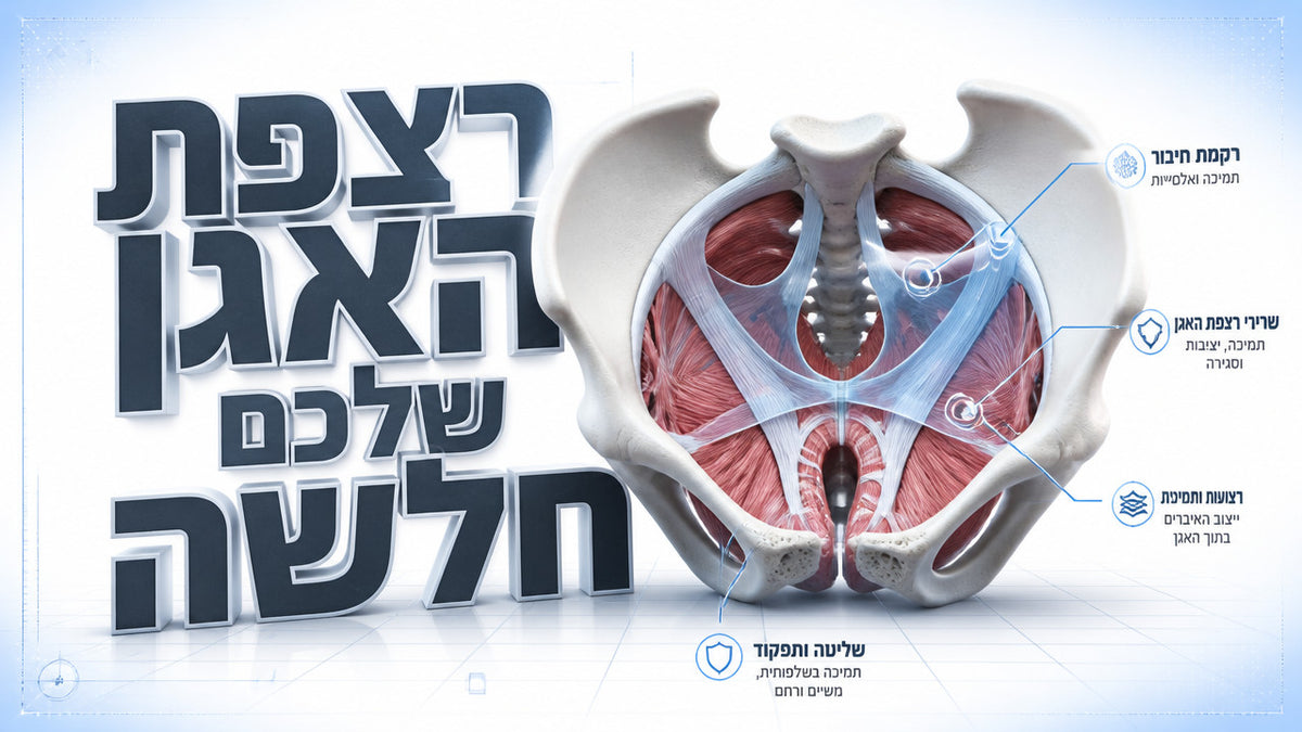 מה זה רצפת אגן אצל גברים ולמה חשוב לחזק אותה: המדריך המלא