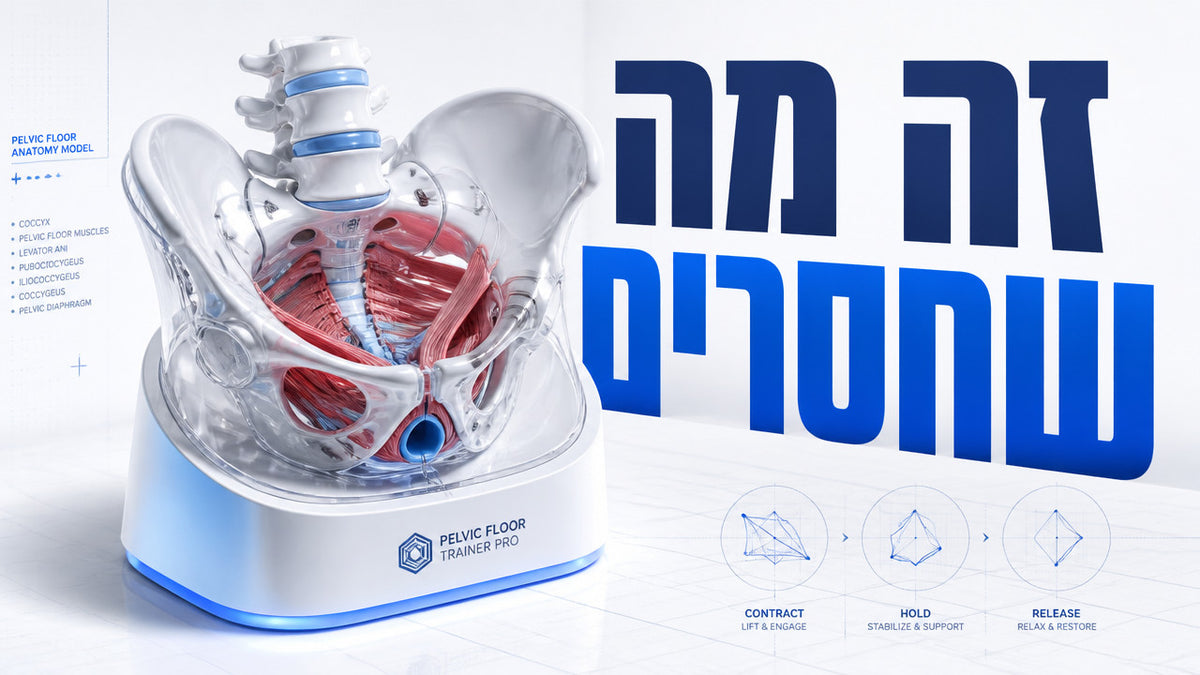 התרגילים המדויקים שמחזקים את רצפת האגן של גברים בישראל ב-2026