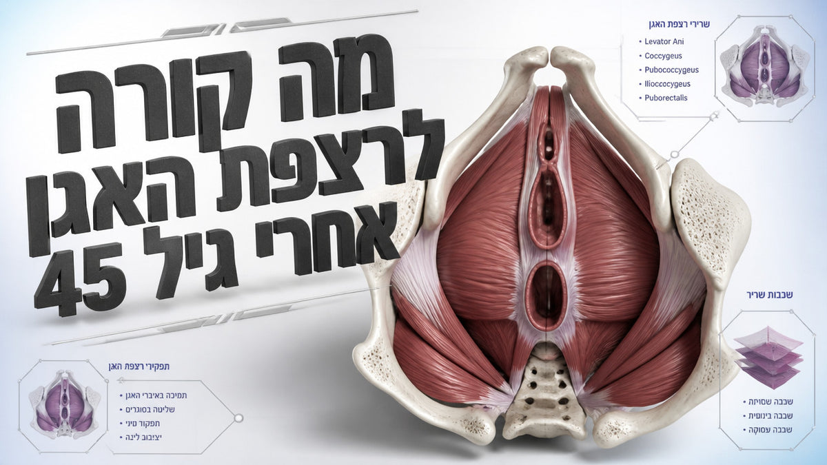 איך רצפת האגן קשורה לתפקוד המיני אצל גברים מעל גיל 45: המדריך המלא
