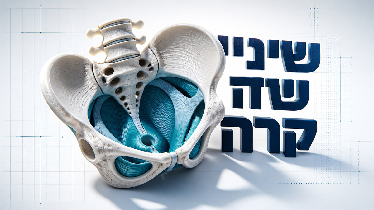 איך מתחילים לאמן את רצפת האגן בגיל 50? המדריך המלא