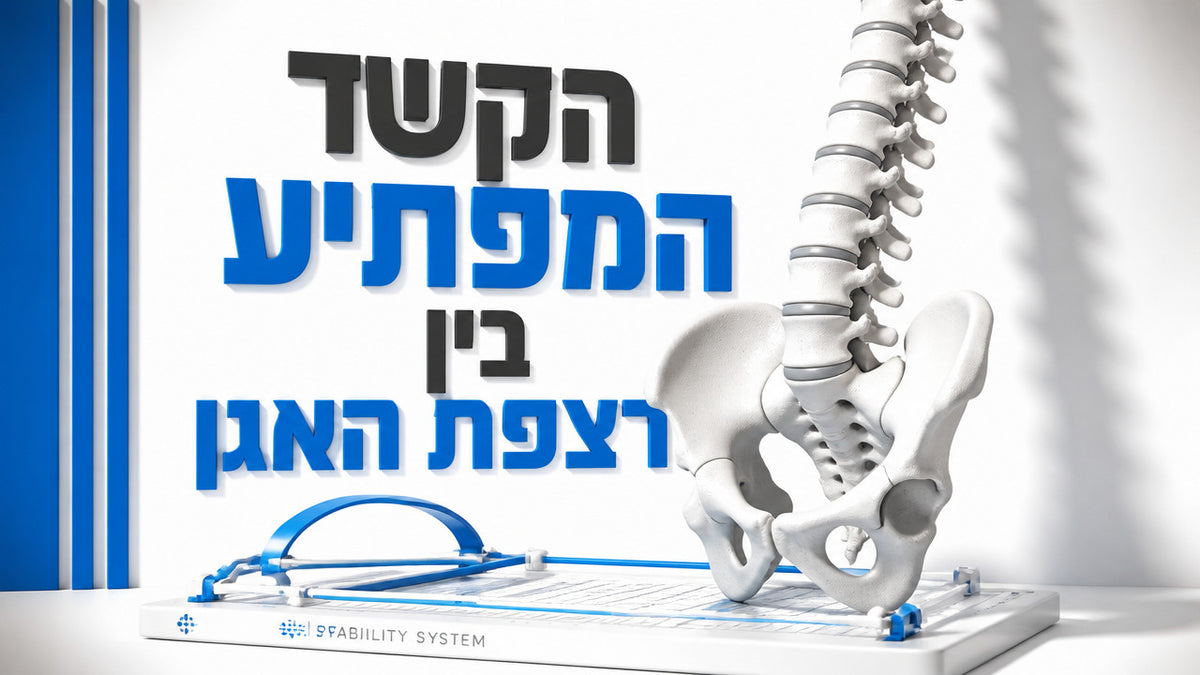 האם חיזוק רצפת האגן יכול לעזור בבעיות זקפה? המדריך המלא