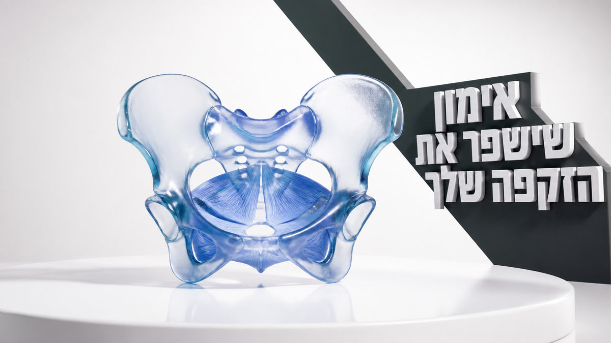 מה זה אימון רצפת האגן לגברים ואיך זה עוזר לזקפה: המדריך המלא