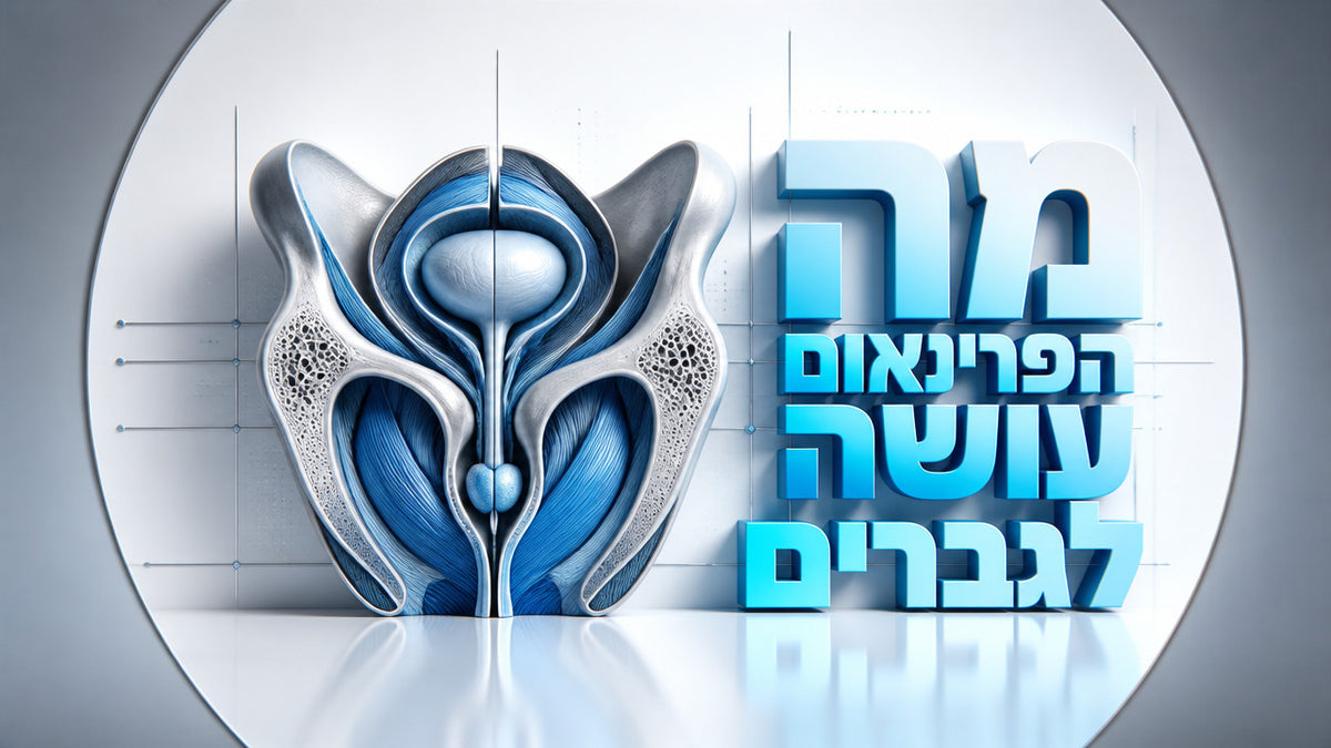 פרינאום אצל גברים: המדריך המלא לחיזוק ושיקום