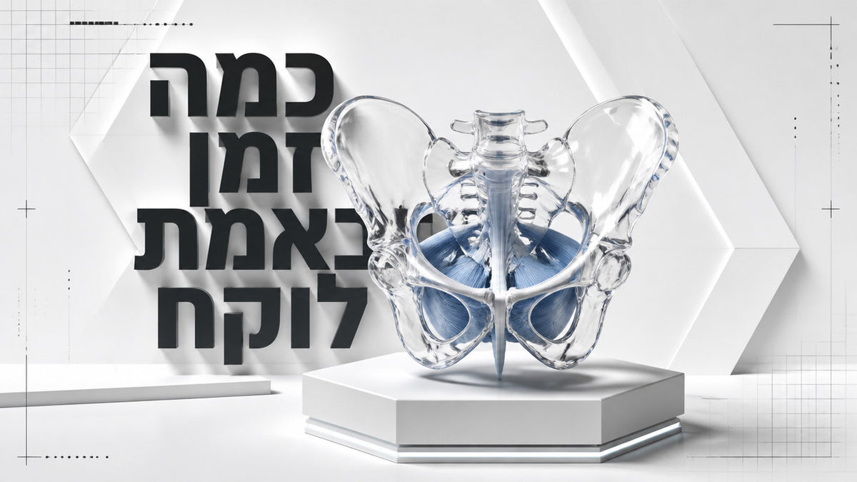 כמה זמן לוקח לראות תוצאות מתרגילי רצפת האגן לגברים: המדריך המלא