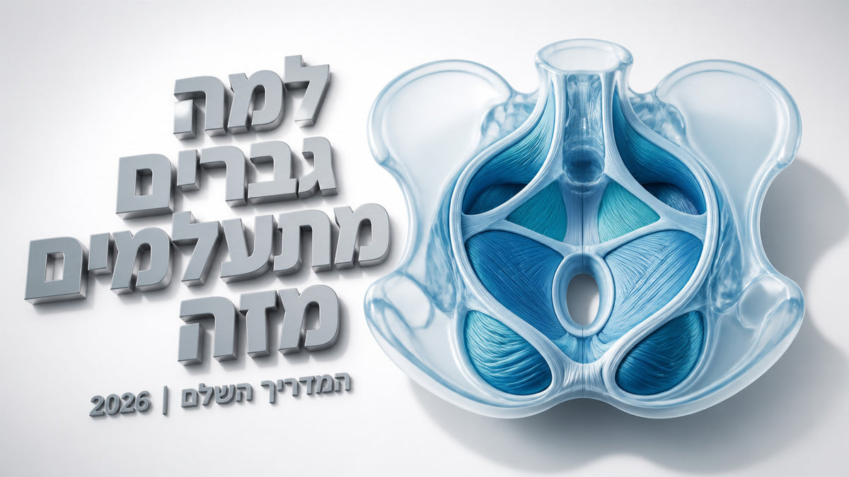 רצפת האגן אצל גברים: המדריך השלם [2026]