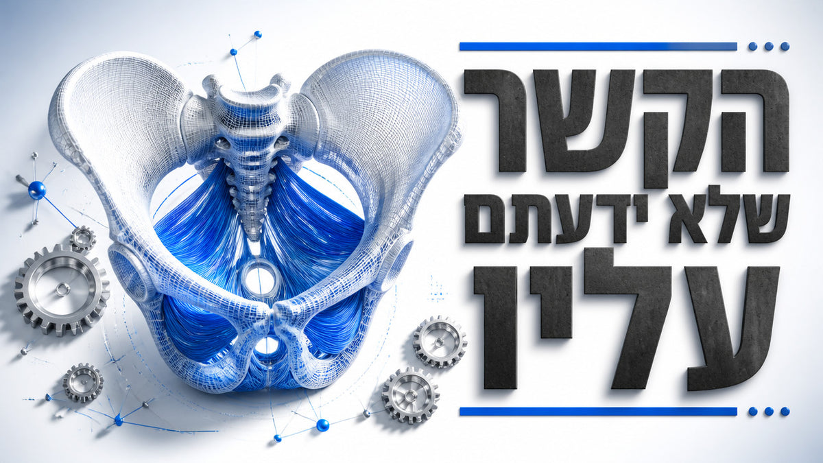 האם חיזוק רצפת האגן יכול לעזור עם בעיות זקפה אצל גברים? המדריך המלא