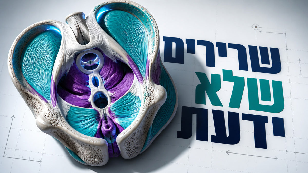 מה זה אימון רצפת אגן לגברים ואיך זה עובד? המדריך המלא