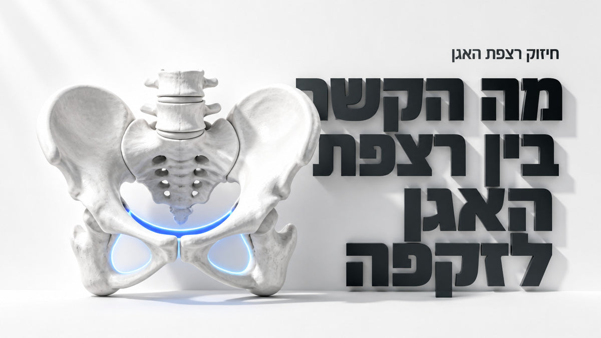 האם חיזוק רצפת האגן יכול לעזור לזקפה חלשה: המדריך המלא