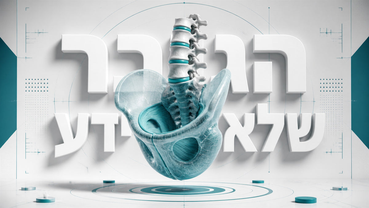 האם חיזוק רצפת האגן יכול לעזור עם זקפה חלשה? המדריך המלא