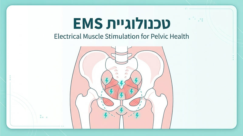 מה זה EMS לרצפת האגן? המדריך המלא